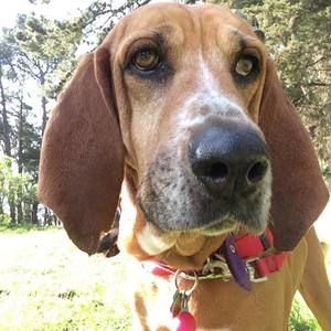 Meet your Posher, Agnieszka